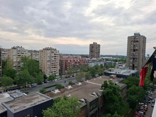 Mišel - image 4