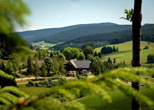 Hotel Tannzapfenland