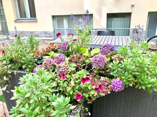 Sweet home 40 City Center Punavuori in Eira