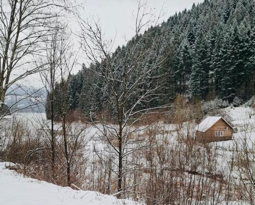 Cabana Cotofana in Izvoru Muntelui
