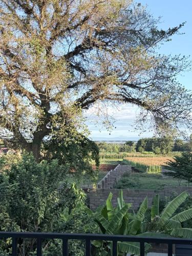 Siam Meru Retreat - image 5
