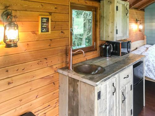 virtuve, Misty Shepherds Hut - Ukc9298 in Talgarreg