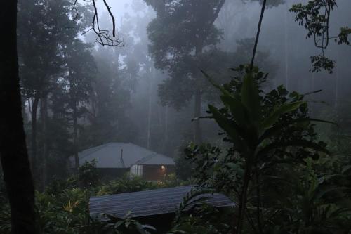 FREEDOM HOUSE, Munnar - A Backpackers Hostel - Munnar