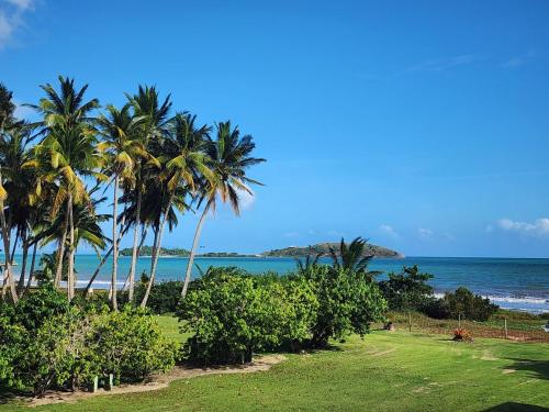 Vista Azul Apartment in Humacao