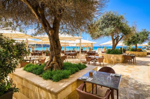 Restaurant, Radisson Blu Resort & Spa, Malta Golden Sands in Mellieha
