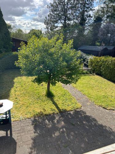 Elli's Küstenherz (Elli's Kustenherz) in Gaarden-Ost