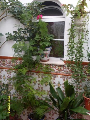 Hotels Image