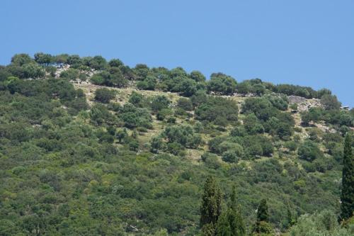 Sea Breeze Apartment - image 6