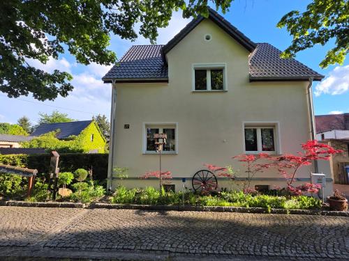 Ferienhaus Zur alten Schmiede in Lauta