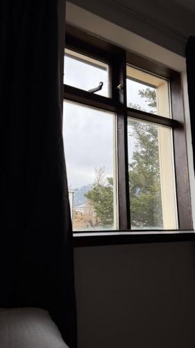 Vedere, Ocean View Guesthouse in Borgarnes