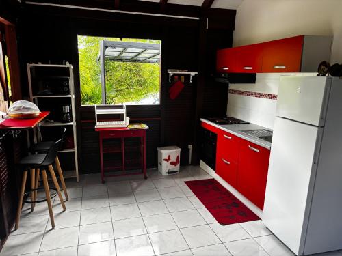 Cerise in Berard