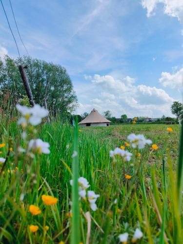 Have, Lagom - Logeren in 't groen in Aalst