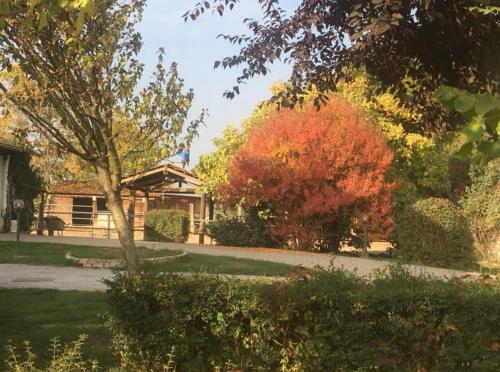 B&B CM Ranch in Cuneo