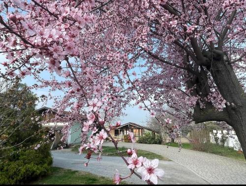 B&B CM Ranch in Cuneo
