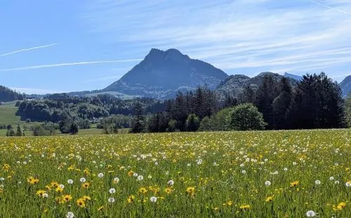 Wohlfühl-Ferienwohnung "Igelnest" in Vorderelsenwang, Österreich