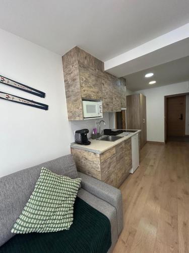 Konyha, APARTAHOTEL CANFRANC in Aisa