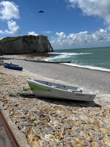 Les falaises d Etretat Etretat hypercentre duplex 50m de la mer & parking - Location saisonnière - Étretat