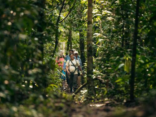 Programlehetőségek, Kuaii Amazonas in Tambopata