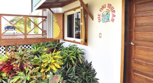 Tropical 1BR Suite with Pool Access - Flying Pig, Placencia