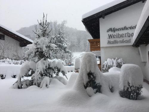 Alpenhotel Weiherbach - image 2