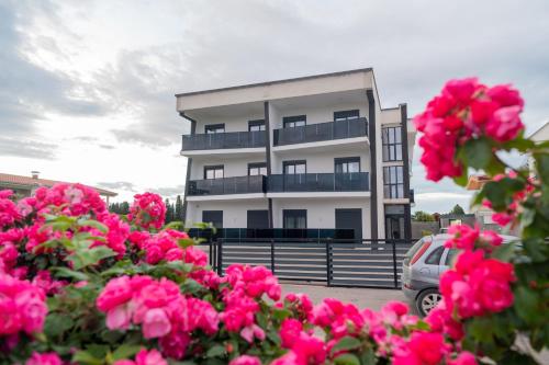 Nejla Apartmani Stoj