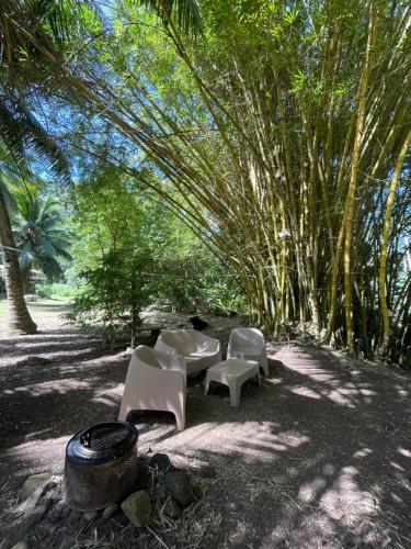 Hiariki Lodge in มาร์เกซัส ไอส์แลนด์