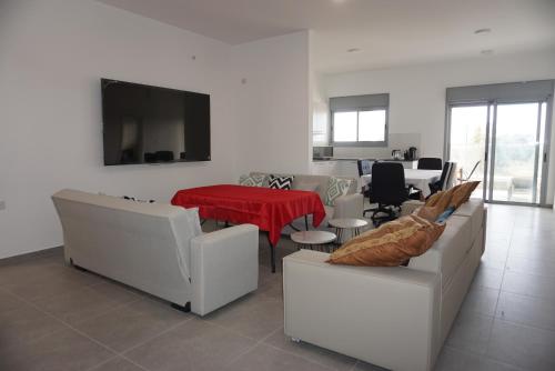 Grand Beach apartment 7 rooms huge terrace in 비냐미나