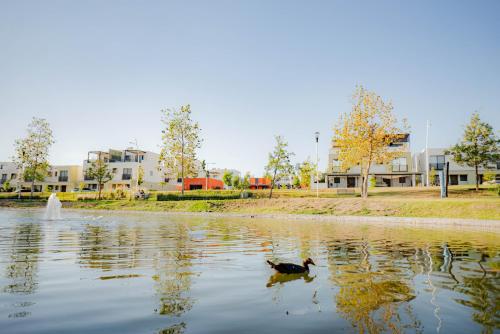 Casa al Sur de Guadalajara con Alberca, Lago, Gym, Parque y Vista al bosque en Salida a Morelia Lope in Lomas de Santa Anita