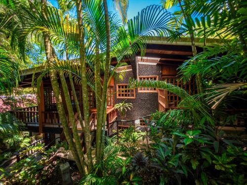 View, Hotel Costa Verde in Quepos