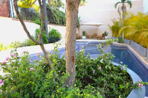 Hotel Miranthia Cuernavaca Adults - Only in Lomas de Cortes