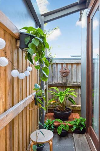 Garden, The Little Erko - A Gateway to Sydney's Indie Heart in Newtown