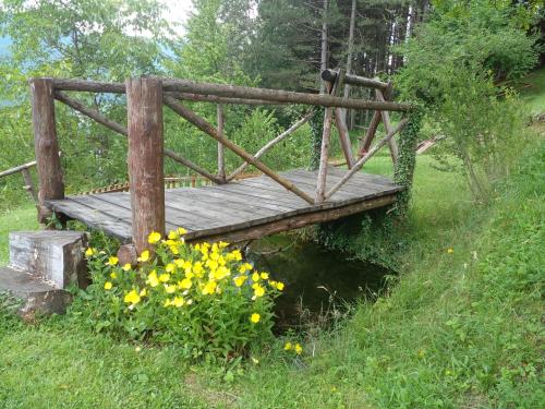 Vila Teodora in Mojkovac