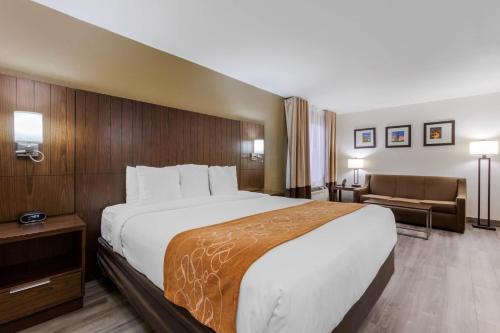 Comfort Suites Tucson near Sabino Canyon - image 4
