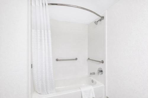 Comfort Suites Baymeadows Near Butler Blvd - image 44