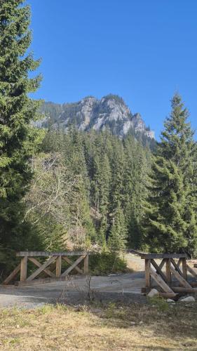 Alrededores, Chata DIANA - Kraviarky in Demanovska Dolina