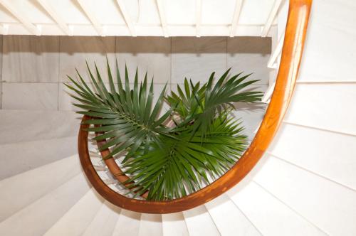 Tibidabo Apartments - image 11