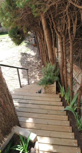 Tibidabo Apartments