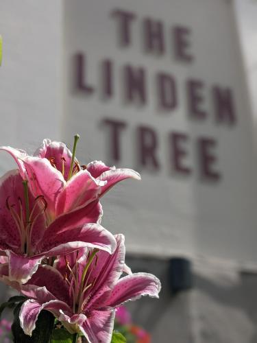 The Linden Tree – khách sạn tại Moreland