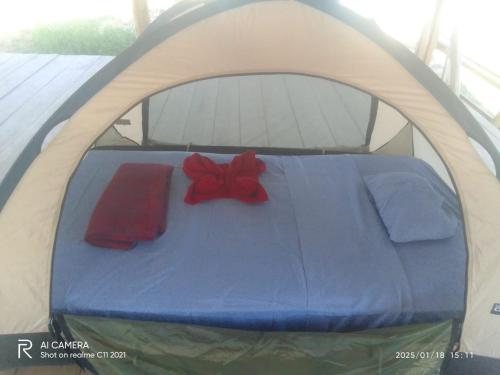 Cuyabeno Camping in Cuyabeno