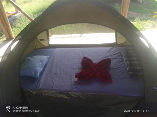 Cuyabeno Camping in Cuyabeno