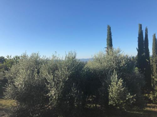 Casolare La Vigna - image 4