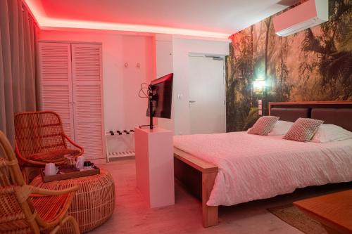 Suite Aracari, clim, balneo, terrasse - Parc des Oiseaux in Villars-les-Dombes