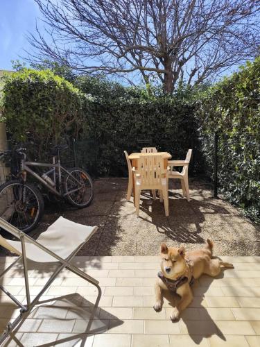 Cap d Agde Appart familial terrasse plage 4 min