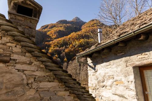 Verzasca Lodge Siro - Accesso diretto al fiume! in Frasco