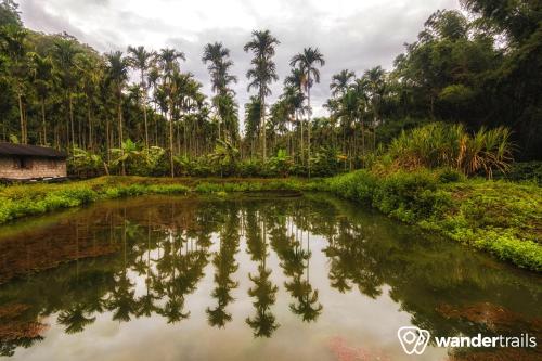 Kilátás, Whispering Willows - A Wandertrails Showcase in Mudumalai