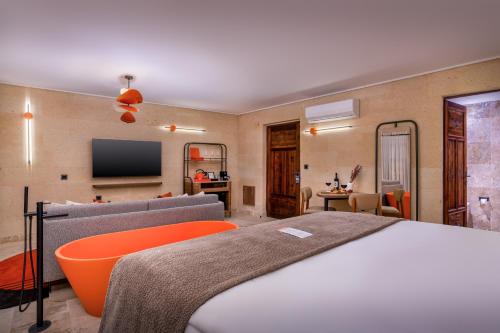 room detail thumbnail 1