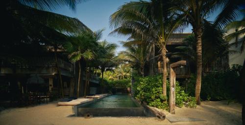 BE Destination Tulum