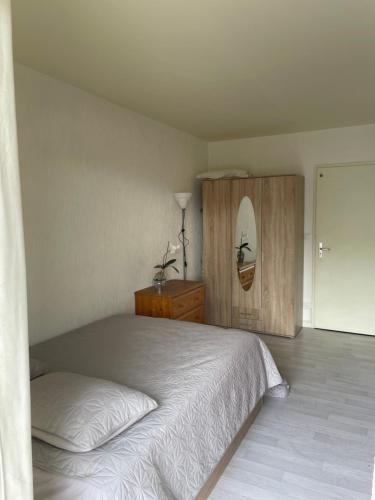 Idéal frontalier 15 min centre Geneve (Ideal frontalier 15 min centre Geneve) in Gaillard