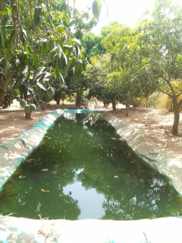 Ecolodge EcoFarm Fimela in Ndangane