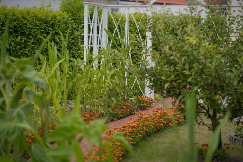 Inselblume 66 - Kuschlige Ferienwohnung fur 2 in Landkirchen in Landkirchen